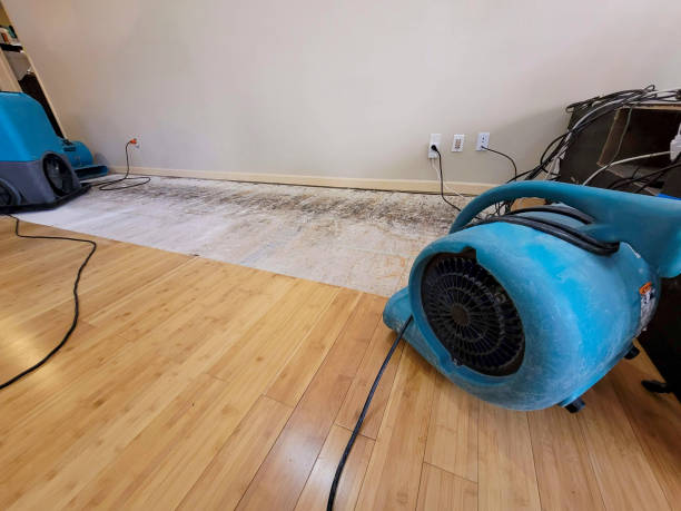 Professional Flood Damage Cleanup technician working in Santaquin, UT